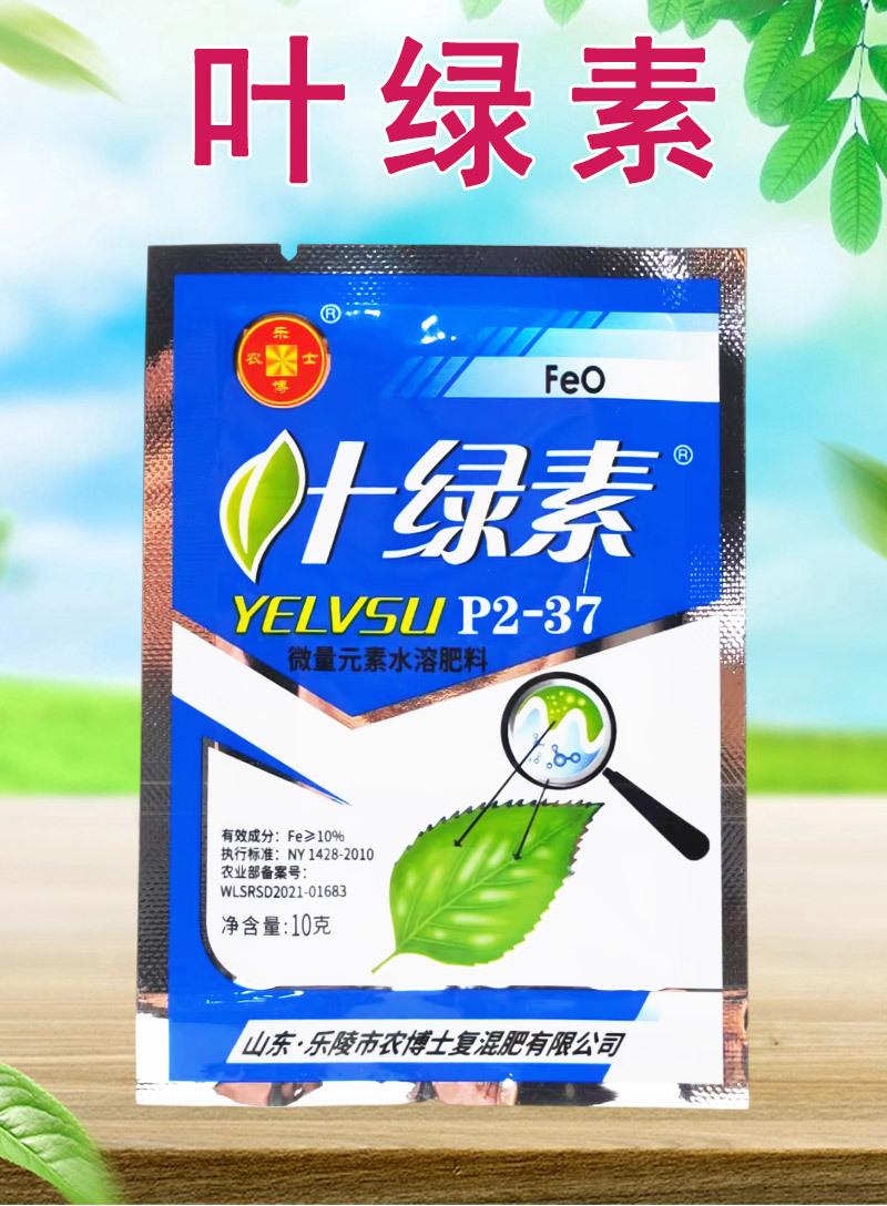 乐陵农博士叶绿素叶面肥 为黄瓜西红柿提质增产保驾护航