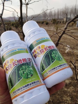 为峰肥业辣椒控旺与小米椒叶面肥的科学使用指南