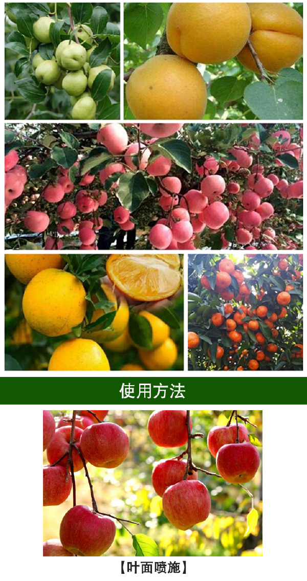 果树专用肥 果树专用叶面肥保花保果膨大增甜靓果