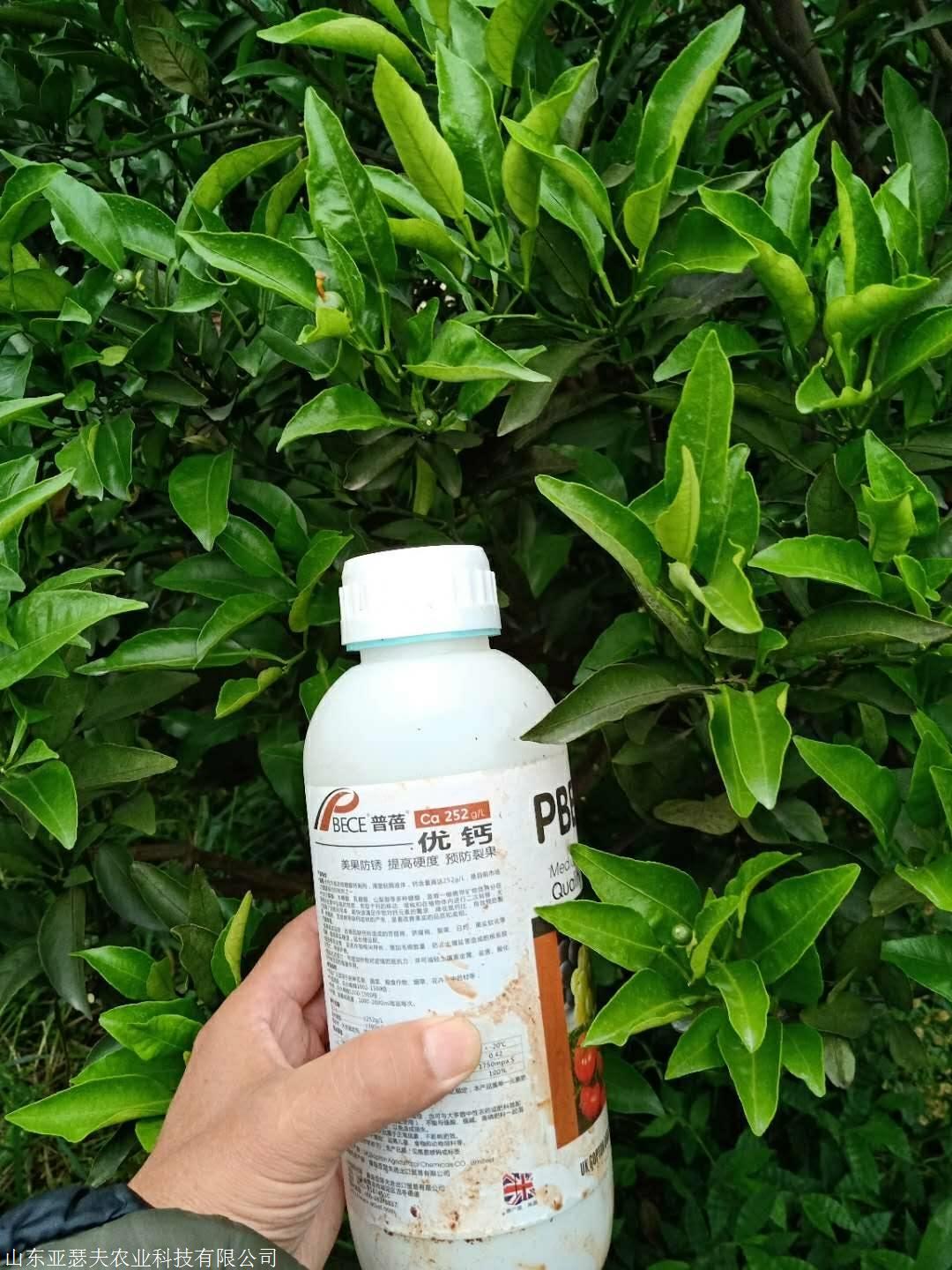 进口叶面肥有哪些品牌